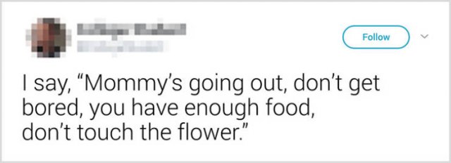 What People Tell Their Cats Before Leaving Home (22 pics)