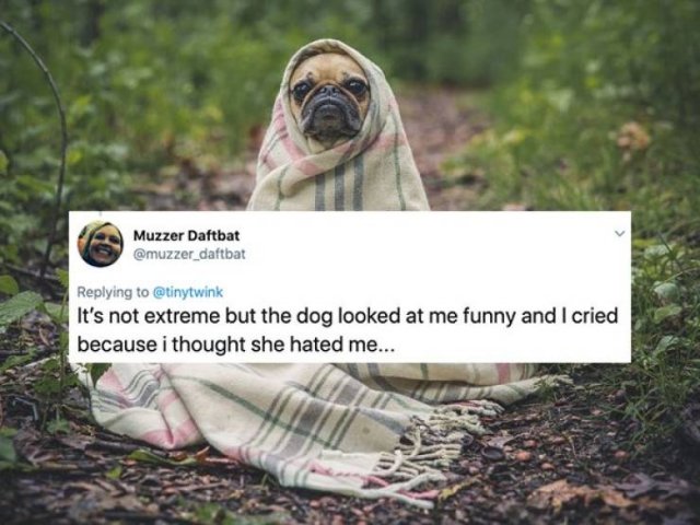 Tweets About Women And Hormones (27 pics)