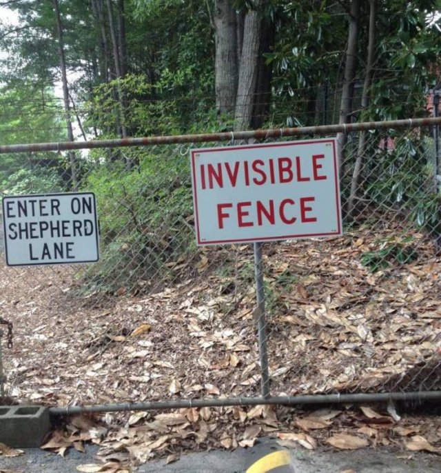 Acid Picdump. Part 1 (118 pics)