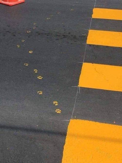 Acid Picdump. Part 1 (118 pics)