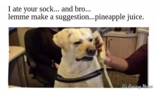Acid Picdump. Part 1 (118 pics)