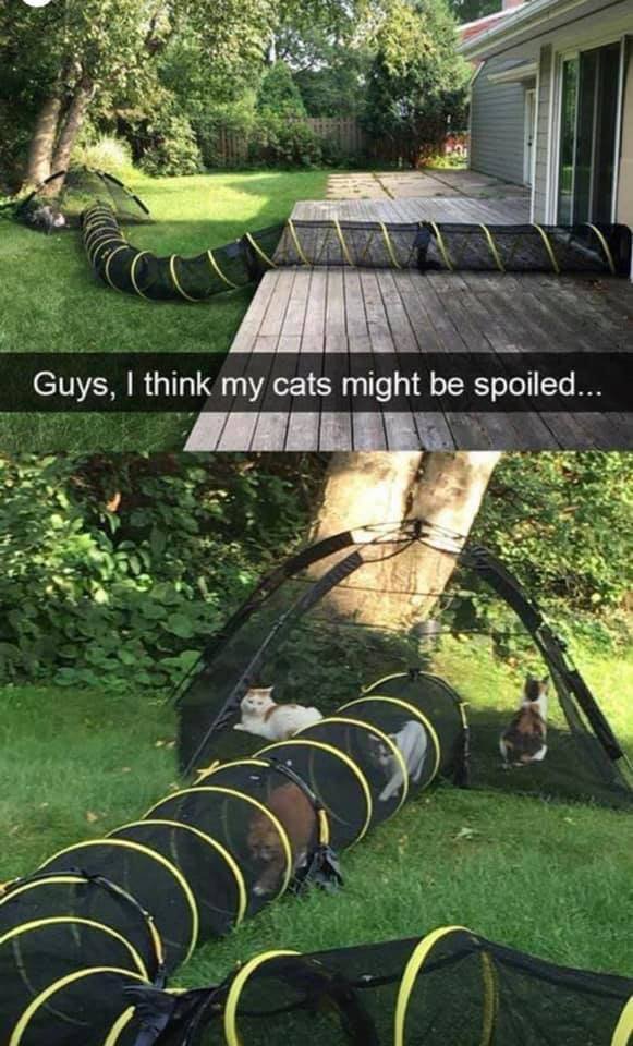 Acid Picdump. Part 1 (118 pics)