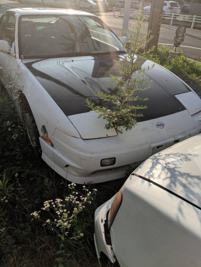 Acid Picdump. Part 1 (118 pics)