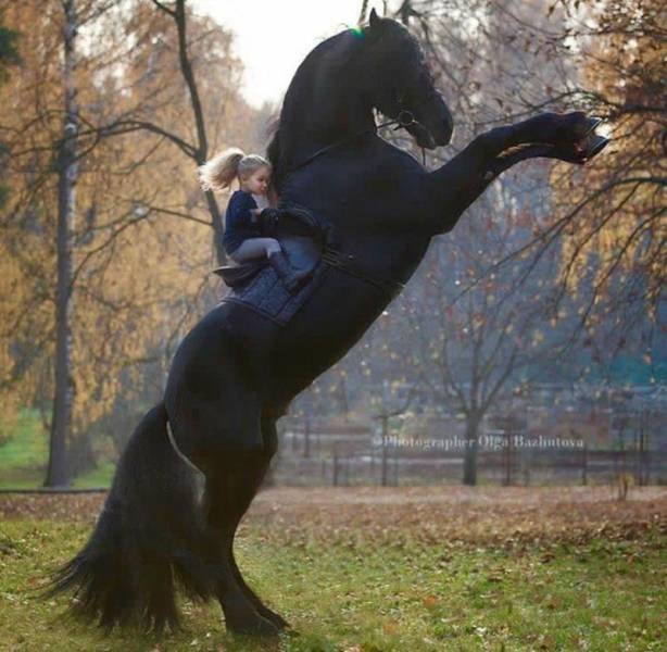 Acid Picdump. Part 1 (118 pics)