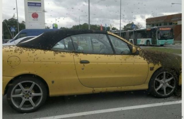 Nope! (50 pics)