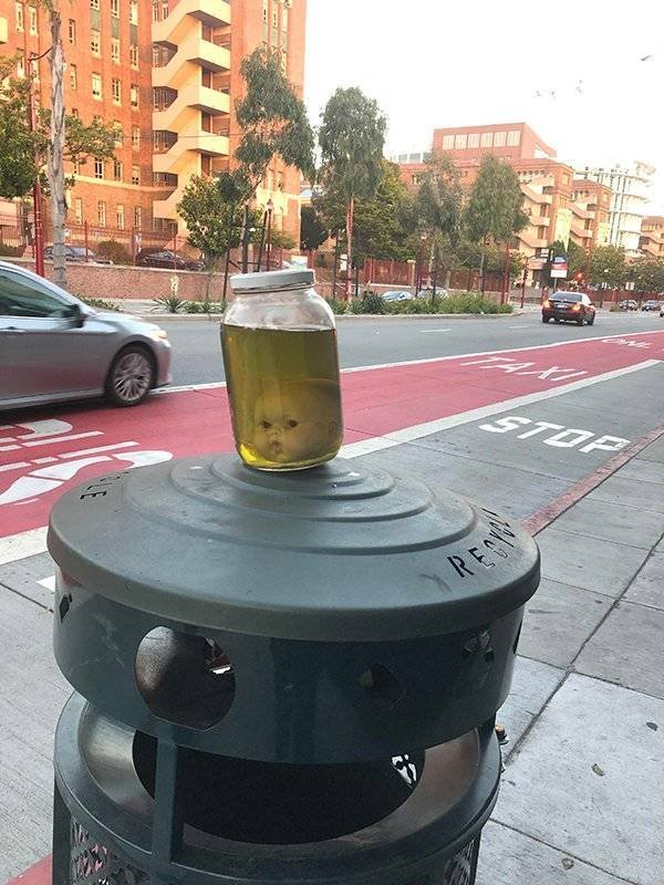 Nope! (50 pics)