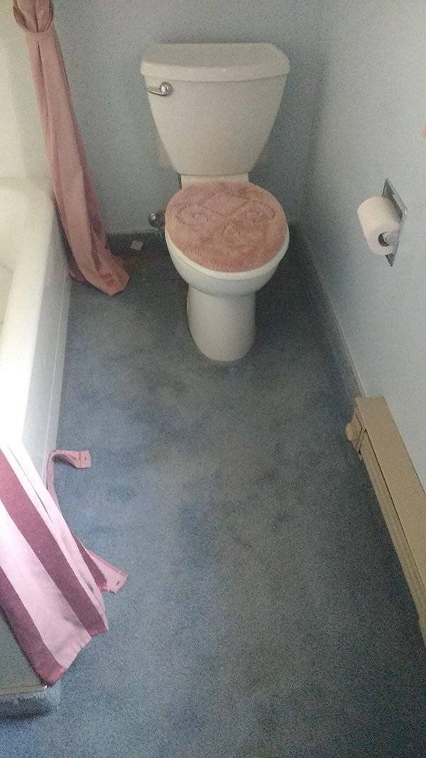 Nope! (50 pics)