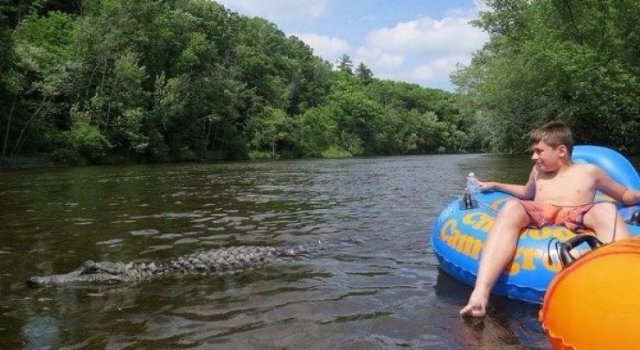 Nope! (50 pics)