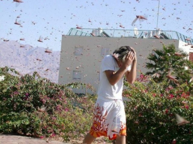Nope! (50 pics)