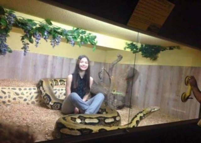 Nope! (50 pics)