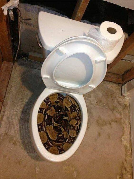 Nope! (50 pics)