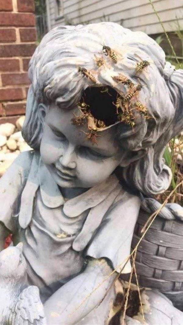 Nope! (50 pics)