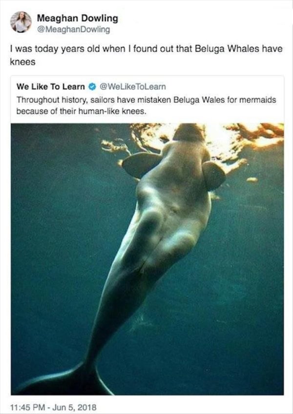 Did You Know It Before? (26 pics)