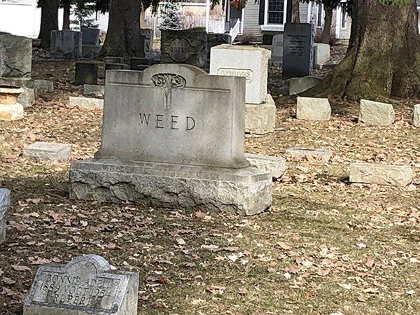 Funny Tombstones (24 pics)