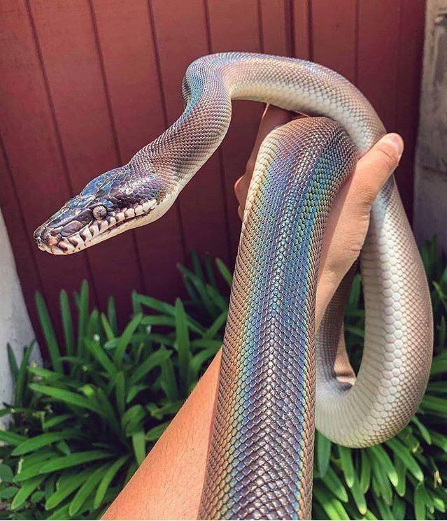 Acid Picdump. Part 2 (96 pics)