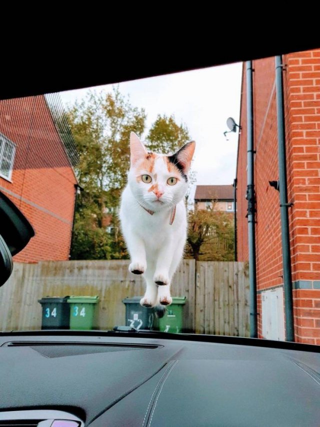 Acid Picdump. Part 2 (96 pics)