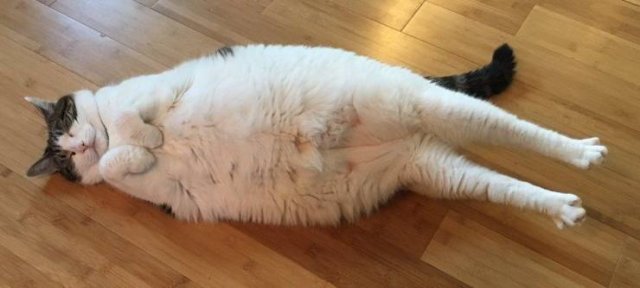 Acid Picdump. Part 2 (96 pics)