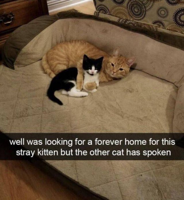 Acid Picdump. Part 2 (96 pics)