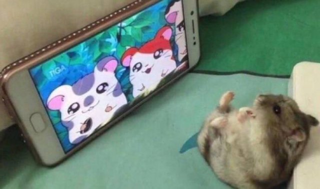 Acid Picdump. Part 2 (96 pics)