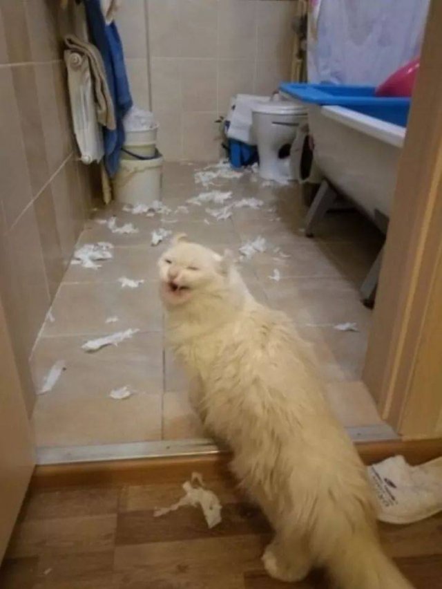 Acid Picdump. Part 2 (96 pics)