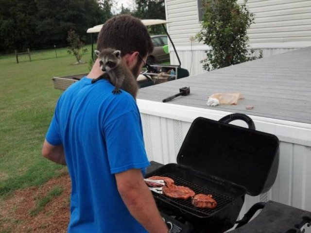 Acid Picdump. Part 2 (96 pics)