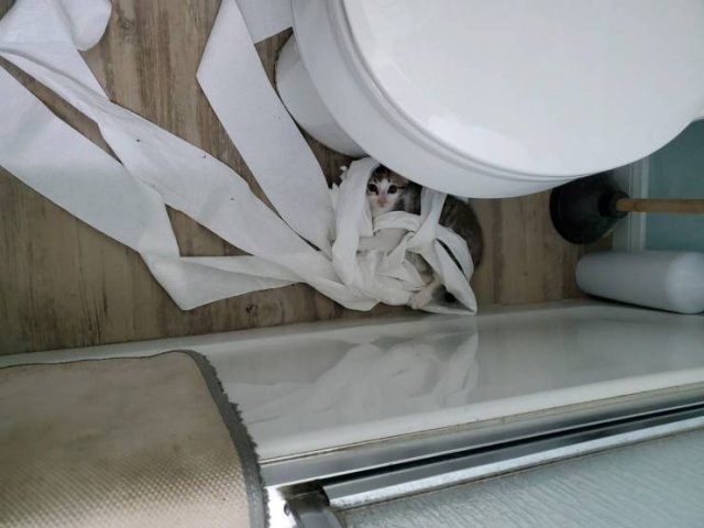 Acid Picdump. Part 2 (96 pics)