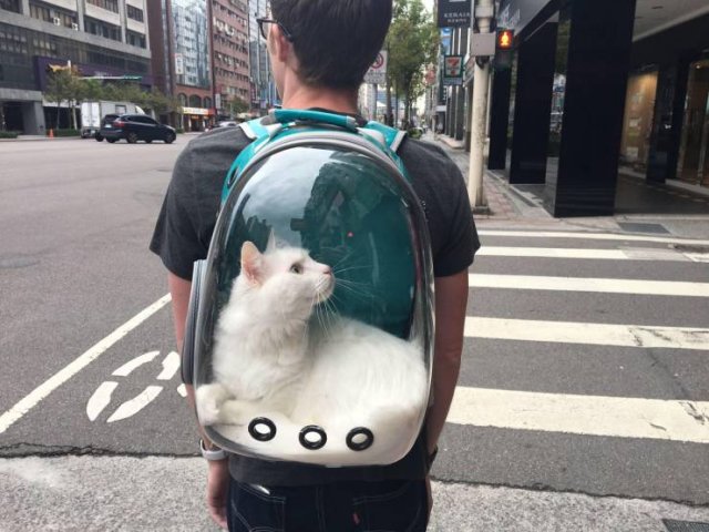 Acid Picdump. Part 2 (96 pics)