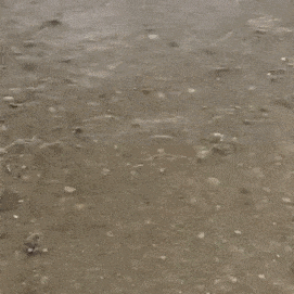 Acid Gifdump, July 8 (25 gifs)