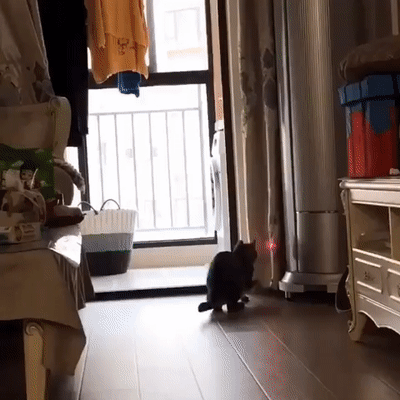 Acid Gifdump, July 8 (25 gifs)