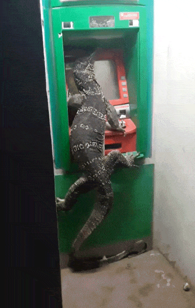 Acid Gifdump, July 8 (25 gifs)