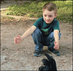 Acid Gifdump, July 8 (25 gifs)
