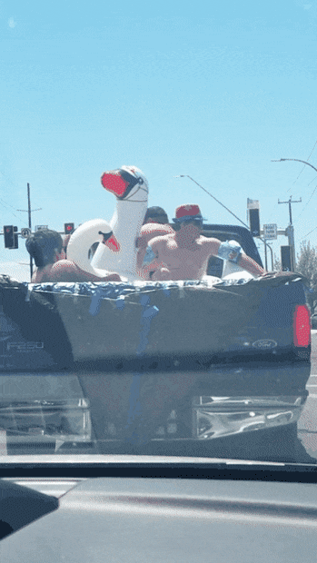 Acid Gifdump, July 8 (25 gifs)