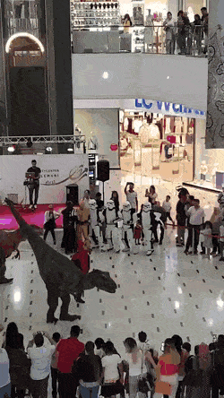 Acid Gifdump, July 8 (25 gifs)