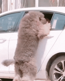 Acid Gifdump, July 8 (25 gifs)