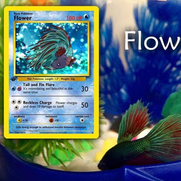 This Artist Can Turn Your Pet Into A Pokemon (56 pics)