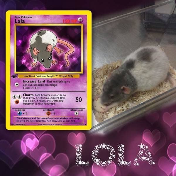 This Artist Can Turn Your Pet Into A Pokemon (56 pics)