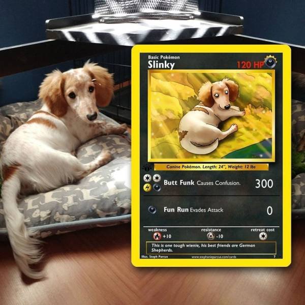 This Artist Can Turn Your Pet Into A Pokemon (56 pics)