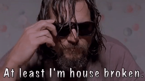 Big Lebowski Is Everywhere (35 pics)