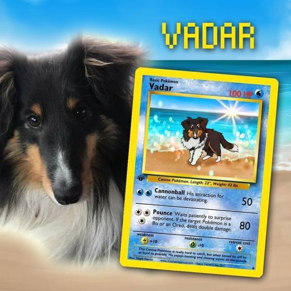 This Artist Can Turn Your Pet Into A Pokemon (56 pics)