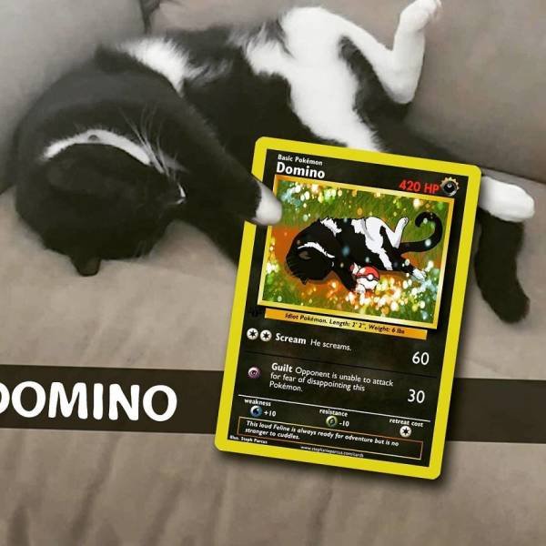 This Artist Can Turn Your Pet Into A Pokemon (56 pics)
