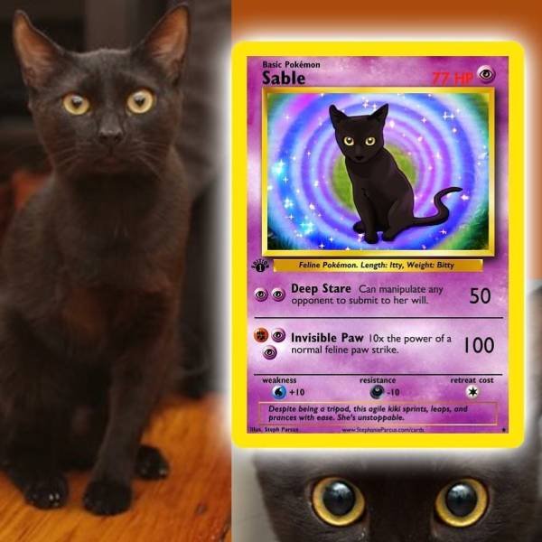 This Artist Can Turn Your Pet Into A Pokemon (56 pics)