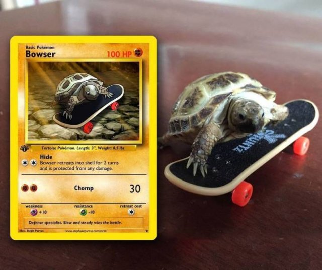 This Artist Can Turn Your Pet Into A Pokemon (56 pics)