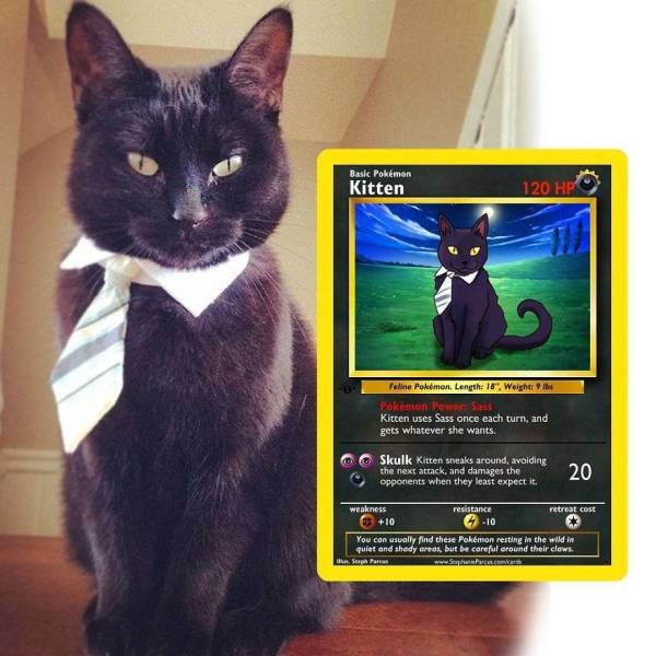 This Artist Can Turn Your Pet Into A Pokemon (56 pics)