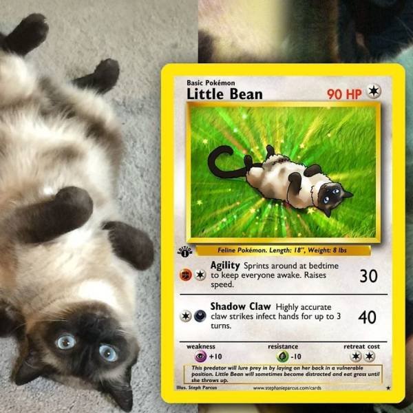This Artist Can Turn Your Pet Into A Pokemon (56 pics)