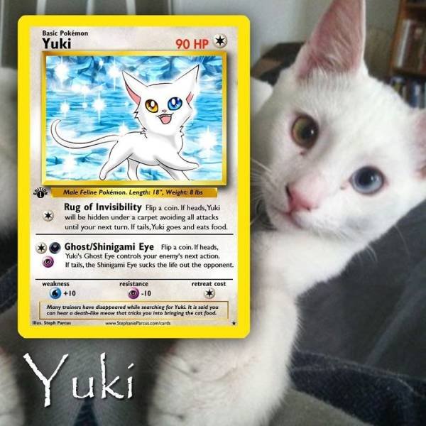 This Artist Can Turn Your Pet Into A Pokemon (56 pics)