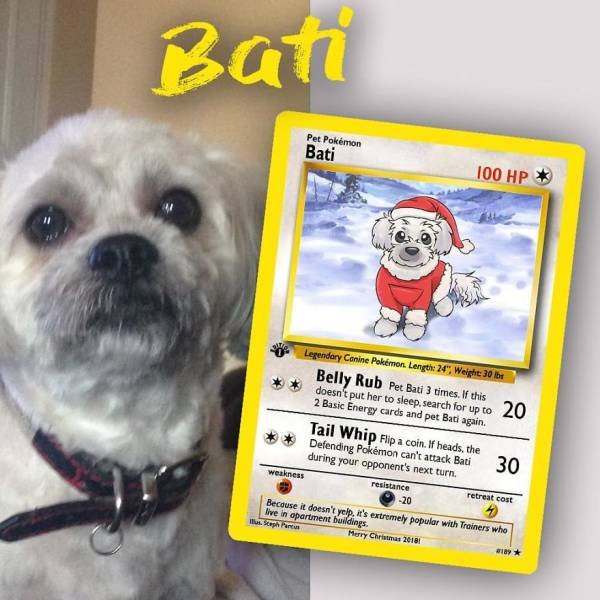 This Artist Can Turn Your Pet Into A Pokemon (56 pics)