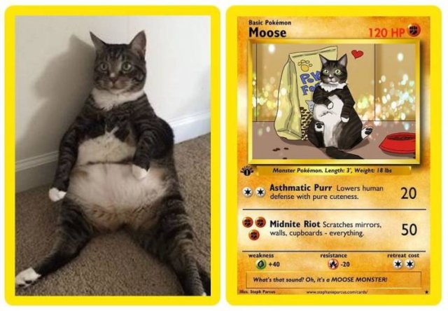 This Artist Can Turn Your Pet Into A Pokemon (56 pics)
