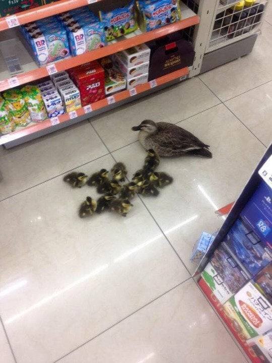 Acid Picdump. Part 1 (99 pics)