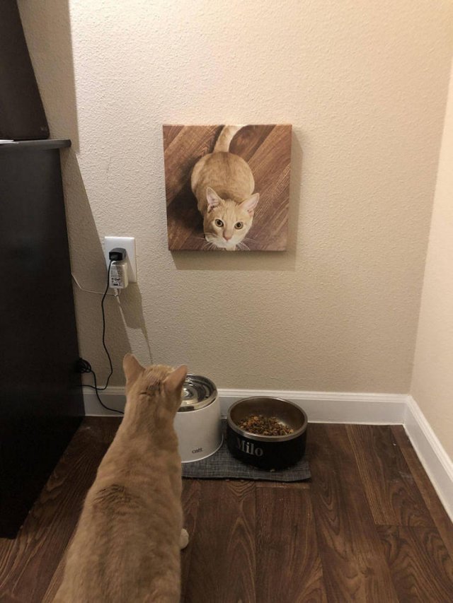 Acid Picdump. Part 1 (99 pics)