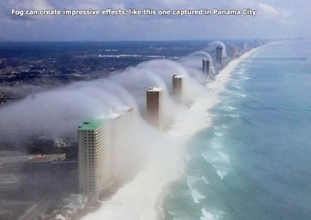Acid Picdump. Part 1 (99 pics)